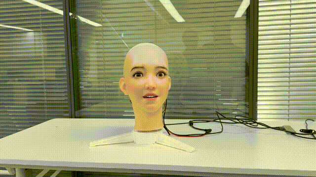 深度 | 拆解数字华夏：交互与场景智能正成为人形机器人下半场竞争关键(图3)